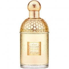 Aqua Allegoria Tiaré Mimosa by Guerlain