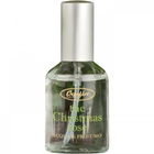 The Christmas Rose by Erbaflor