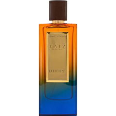 Premium Collection - Efficient von Faiz Niche