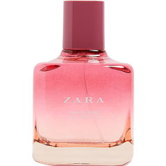 Pink Flambé Summer by Zara