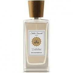 Intuition by Contro Corrente Intuition by Contro Corrente