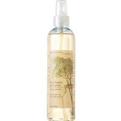 Rice Flower and Shea by Bath & Body Works