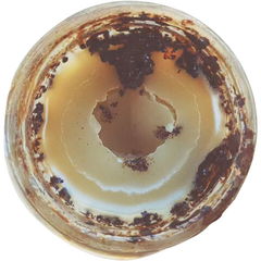 Vanilla Soliflore by Wild Veil Perfume