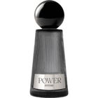 Power Intense by Delta Goodrem