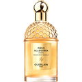 Aqua Allegoria Forte Mandarine Basilic
