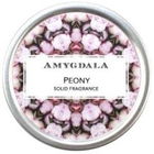 Peony by Amygdala