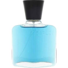 Blu Water (After Shave) von Roberto Capucci