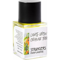 Lights upon Orange Tree by Strangers Parfumerie