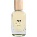A Sweet Pastry in Paris von Zara