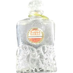 White Rose von Harmony of Boston