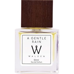 A Gentle Rain (Eau de Parfum) von Walden Perfumes