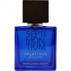 Septimontium - Palatinus von Mauro Lorenzi