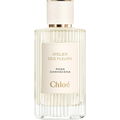 Rosa Damascena von Chloé