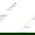Gardenia 0722 von Innisfree