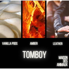 Tomboy von Maison des Animaux
