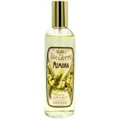 Mimosa von Honoré Payan