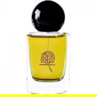 Hommage à Paul Klee - Lights and Shadows von YS Uzac