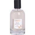 Fleur de Coton by Collines de Provence