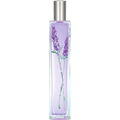 Floralia - Lavenda Herba (Eau de Toilette) von Mayfair