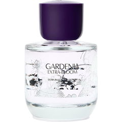Gardenia Extra-Bloom von Zara