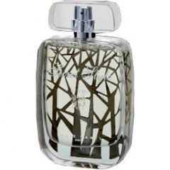 Secret Style for Men by Louis Varel