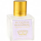 Acqua di Bolgheri - Lavanda Eterea von Dr. Taffi