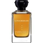 Extraordinary by Matea Nesek