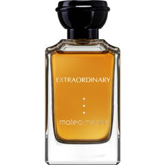 Extraordinary by Matea Nesek