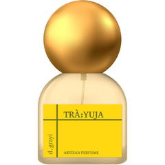 Trà:Yuja by D. Grayi