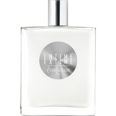 Intime Extime von Pierre Guillaume