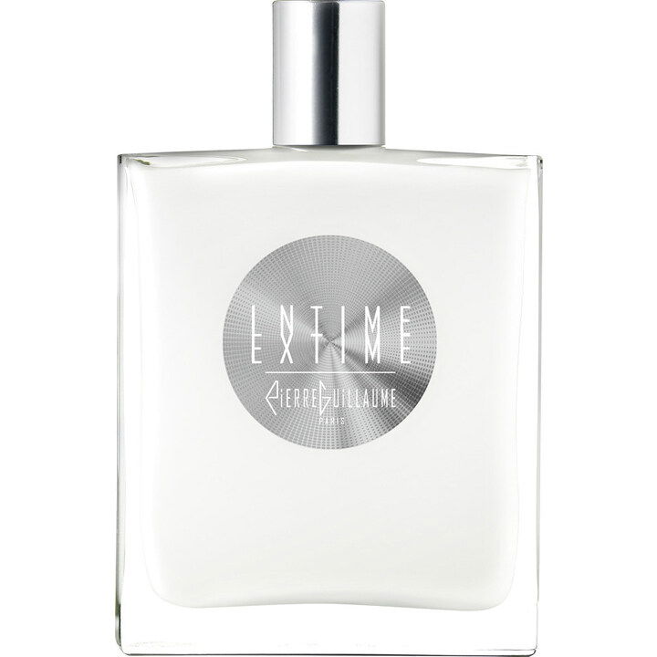 Intime Extime von Pierre Guillaume