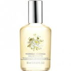 Moringa (Eau de Toilette) von The Body Shop