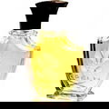Verveine Narcisse