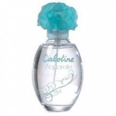 Cabotine Aquarelle by Grès