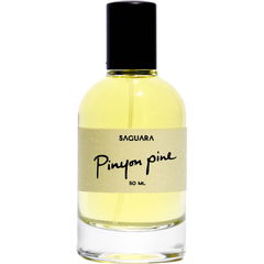 Pinyon Pine by Saguara