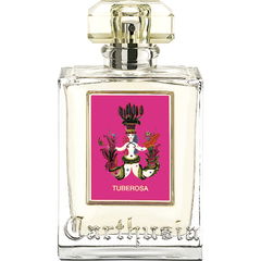 Tuberosa (Eau de Parfum) by Carthusia