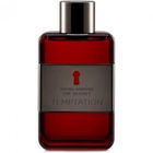 The Secret Temptation by Banderas