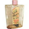 Apple Blossom von Ravel