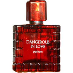 Dangerous in Love by Nóvaya Zaryá / Новая Заря