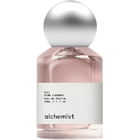 {02} Pink Laundry by Alchemist