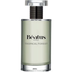 Tropical Forest by Béatus
