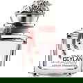 Viaje a Ceylan Mujer by Adolfo Dominguez