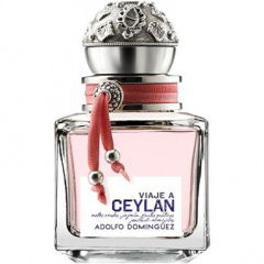 Viaje a Ceylan Mujer by Adolfo Dominguez