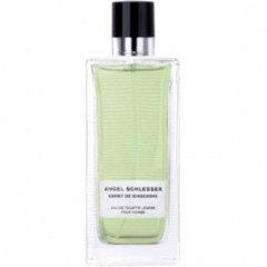 Esprit de Gingembre pour Homme by Angel Schlesser