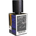 The Observer by Treading Water Perfume