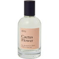 Cactus Flower von dilo