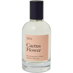 Cactus Flower by dilo