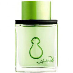 Agua Verde von Salvador Dali
