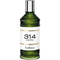 314 Cedro by LabSolue
