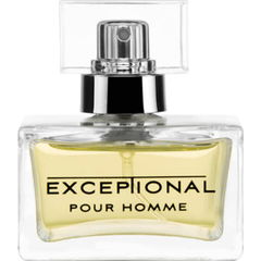 Exceptional by Allan Martin